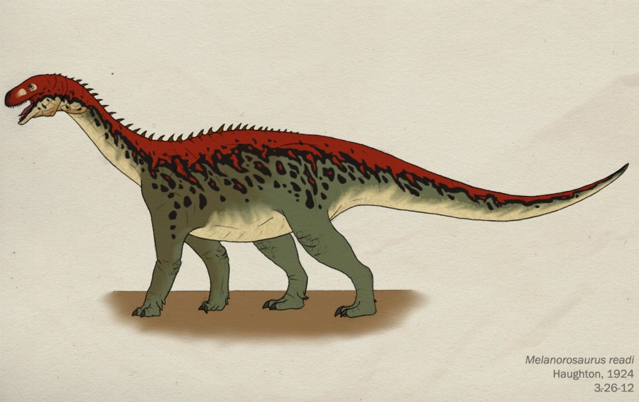 Melanorosaurus