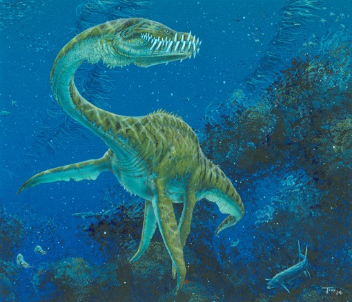 Morenosaurus