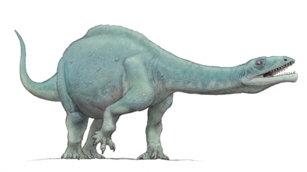 Lessemsaurus