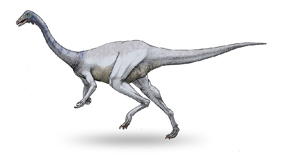 The Dinosaur Project - Wikipedia