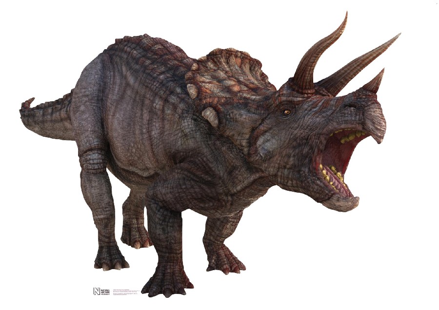 Ceratops, Cretaceous
(Меловой период)