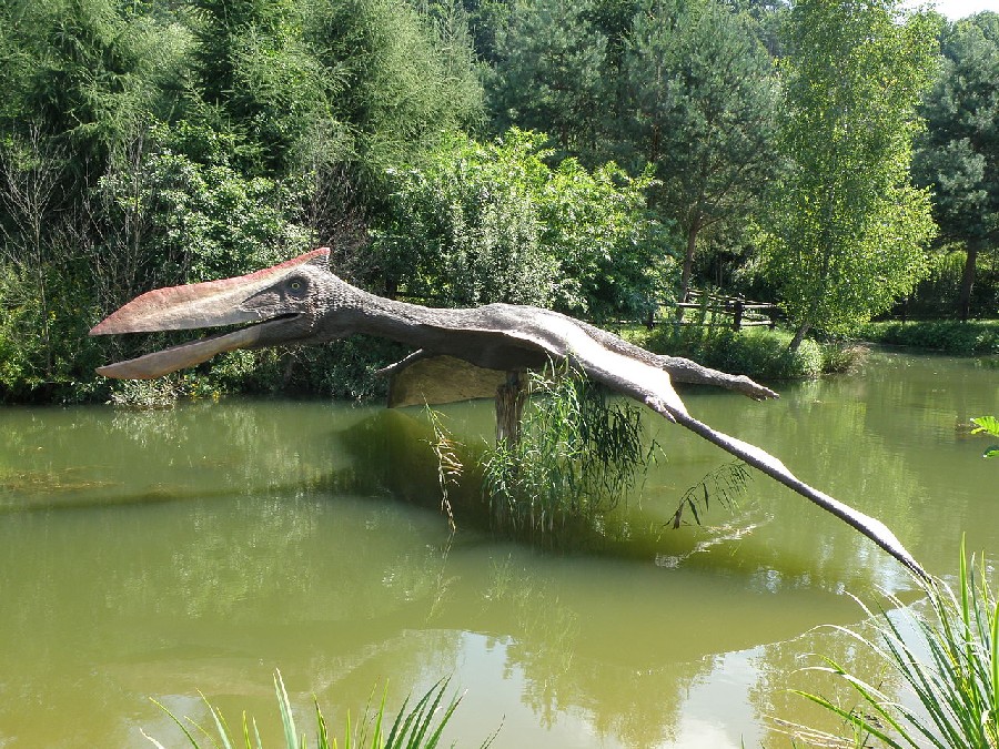 Quetzalcoatlus Pictures & Facts - The Dinosaur Database