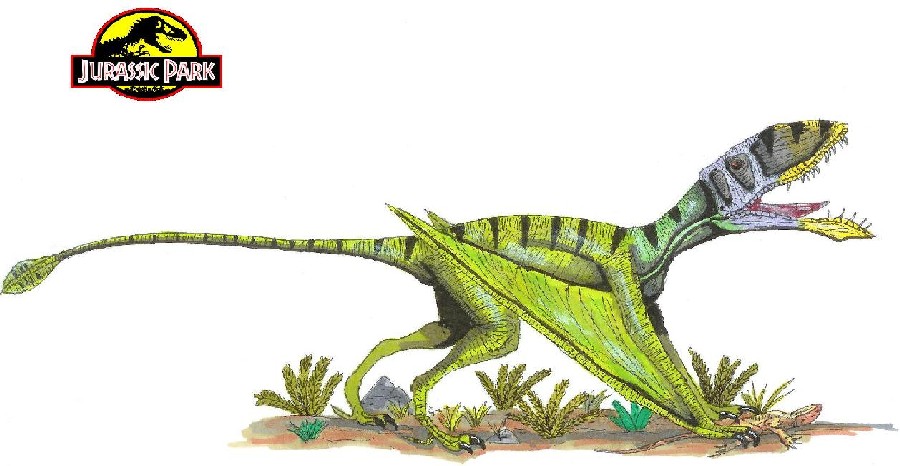 Dimorphodon Pictures And Facts The Dinosaur Database 