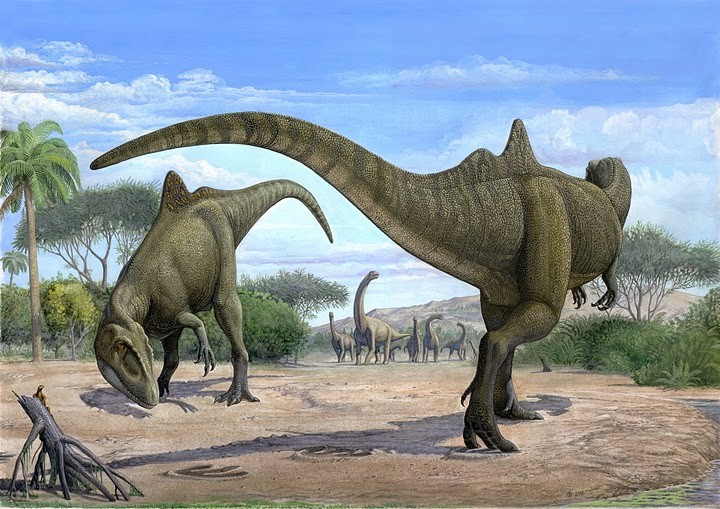 Concavenator Pictures Facts The Dinosaur Database Concavenator Pictures Facts The Dinosaur Database