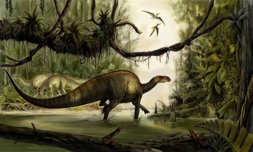 31-Tenontosaurus-tillettorum_0fe9.jpg