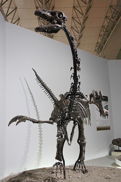 Erliansaurus