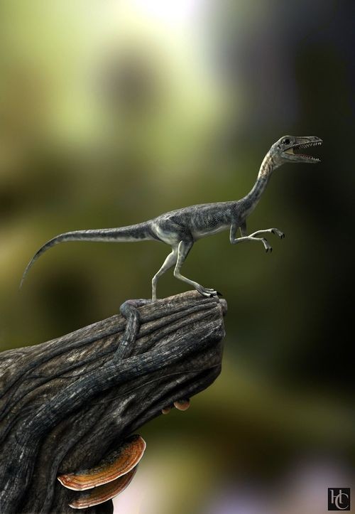 Compsognathus
(Компсогнат), Jurassic
(Юрский период)