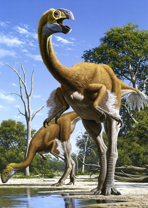 Gigantoraptor Pictures Facts The Dinosaur Database