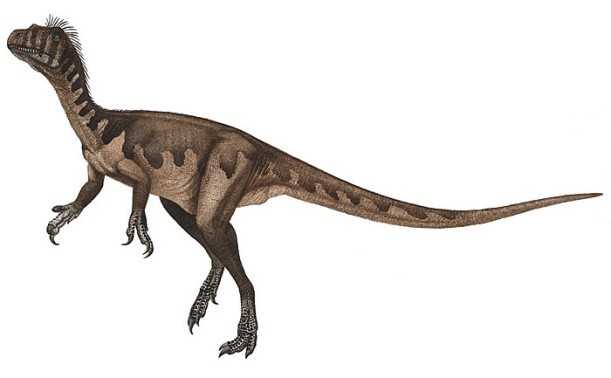 Guaibasaurus