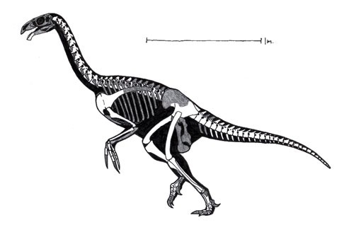 Neimongosaurus