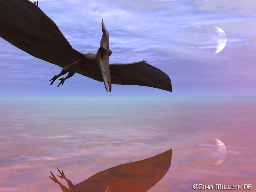 Pterodactyl Pictures & Facts - The Dinosaur Database