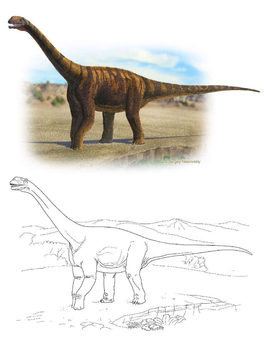 Abrosaurus
(возм: аброзавр), Jurassic
(Юрский период)