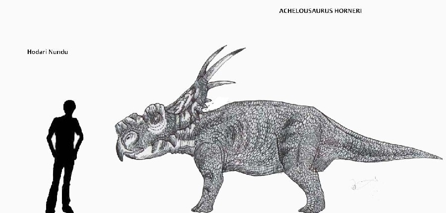 Achelousaurus
(возм: ахелоузавр), Late Cretaceous
(Верхний мел)