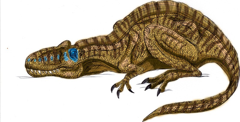 Acrocanthosaurus_col_9b06.jpg