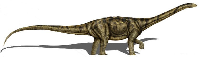 Adamantisaurus, Cretaceous
(Меловой период)