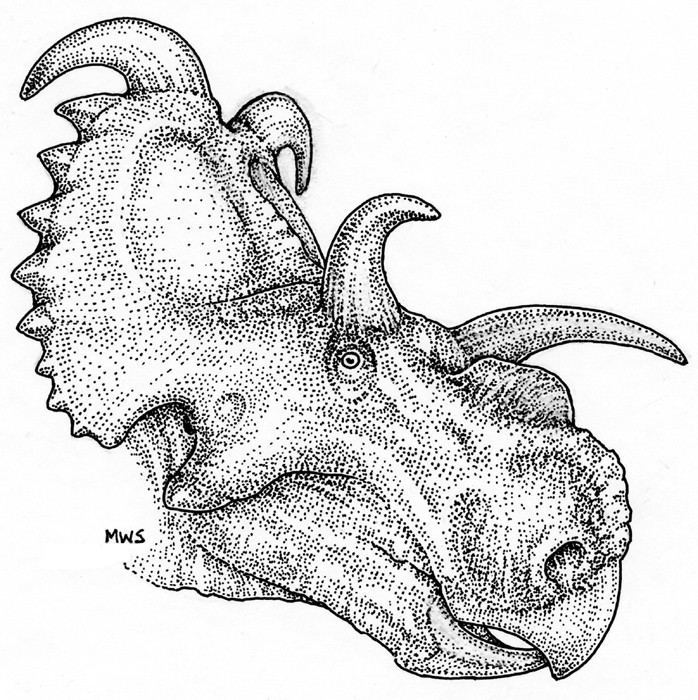 Albertaceratops