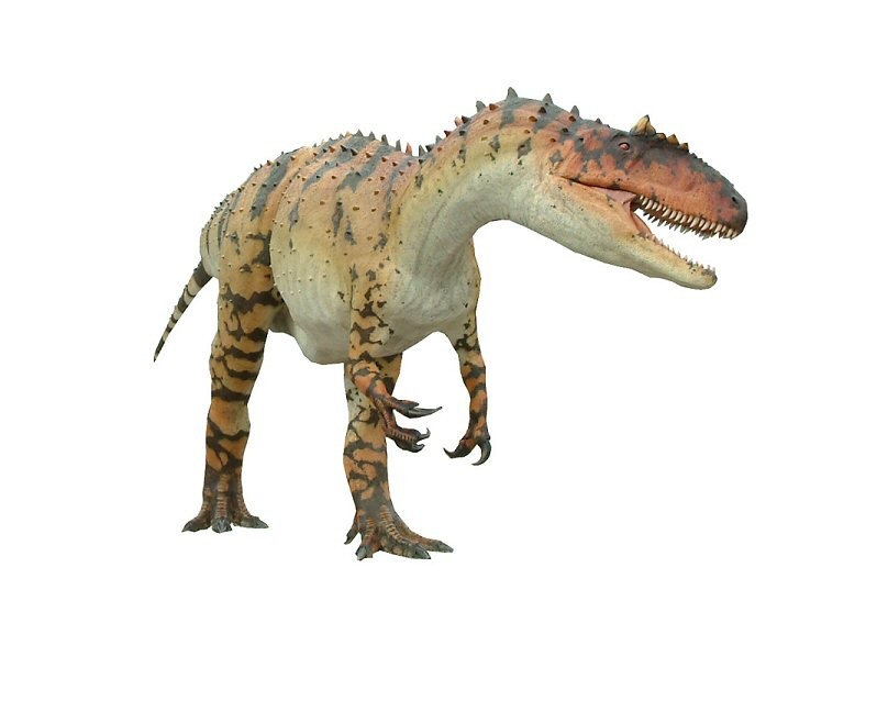 about allosaurus