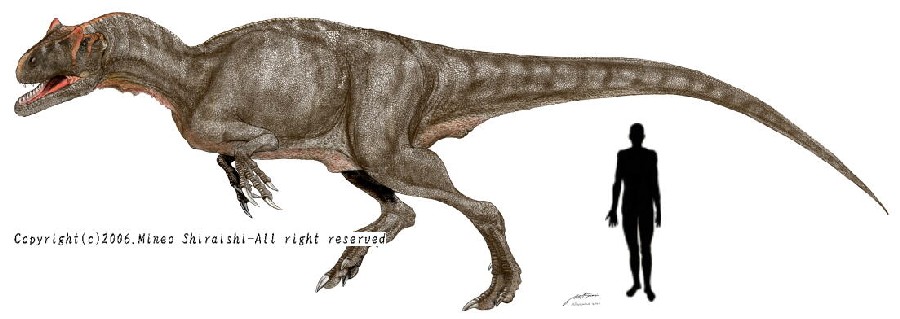 Allosaurus
(Аллозавры), Jurassic
(Юрский период)
