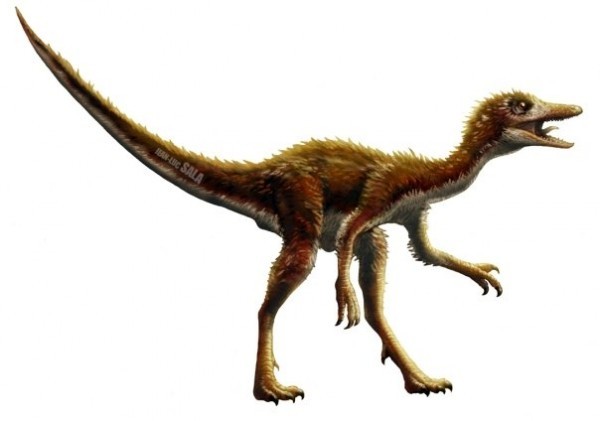 Alvarezsaurus