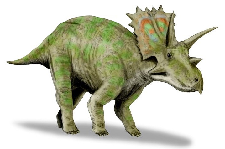 Anchiceratops