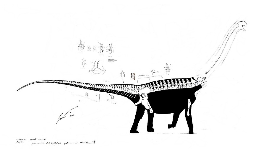 Andesaurus
