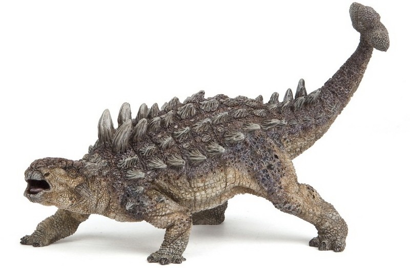 types of ankylosaurus