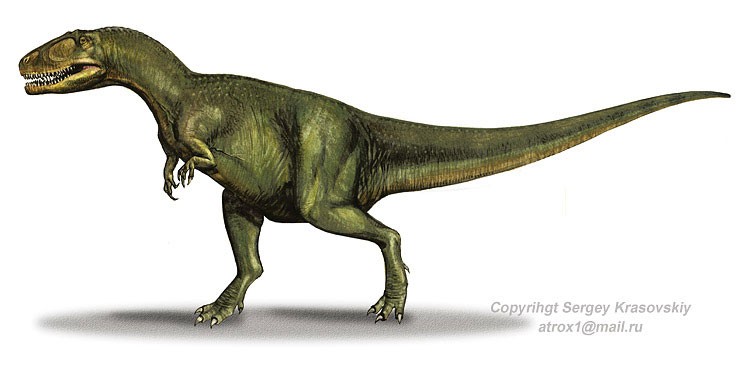 Antrodemus, Jurassic
(Юрский период)