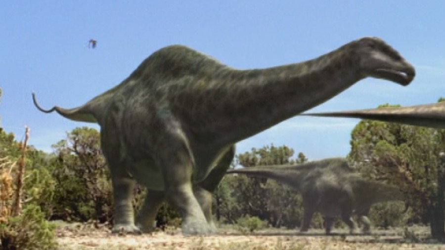 Apatosaurus Pictures & Facts - The Dinosaur Database