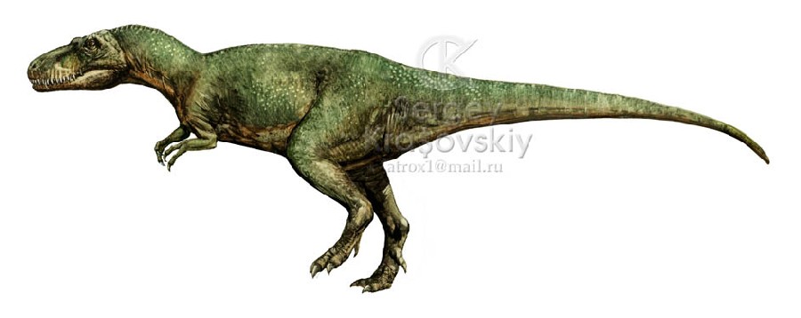 Appalachiosaurus
(Аппалачиозавр), Cretaceous
(Меловой период)
