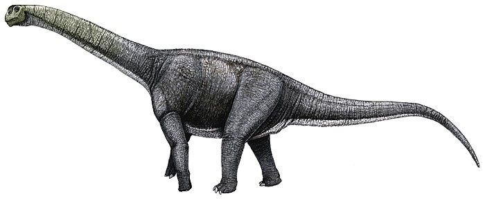 Aragosaurus