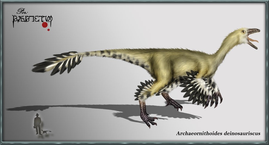 Archaeornithoides