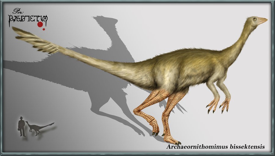 Archaeornithomimus