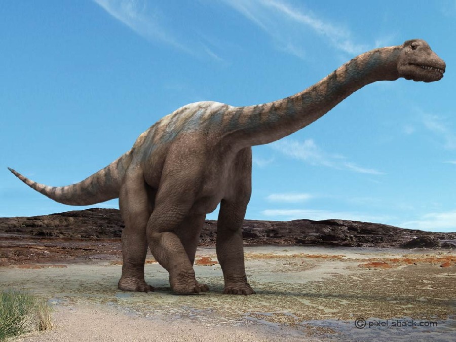 Argentinosaurus
(Аргентинозавр), Cretaceous
(Меловой период)