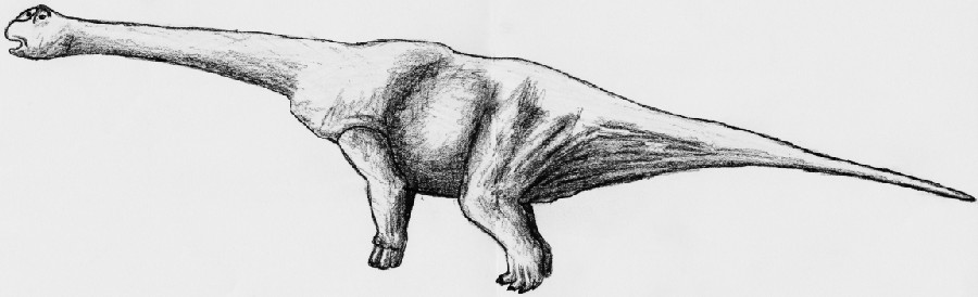 Argyrosaurus