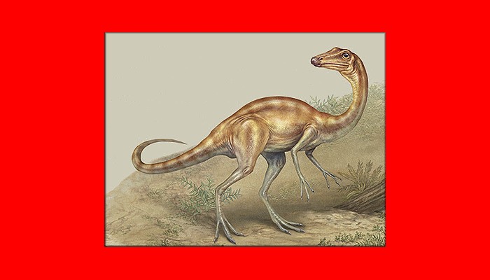 Arkansaurus, Cretaceous
(Меловой период)