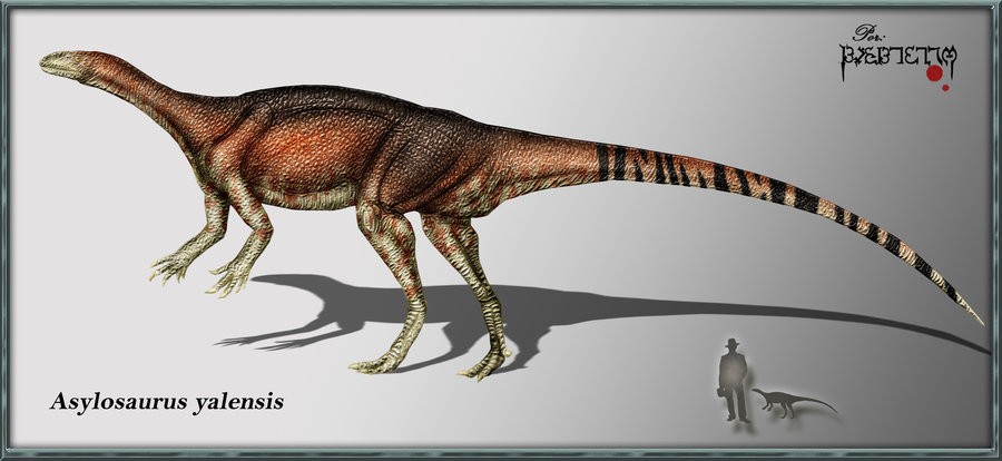Asylosaurus, Triassic
(Триасовый период)
