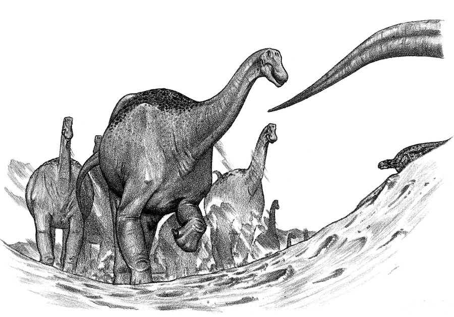 Austrosaurus
