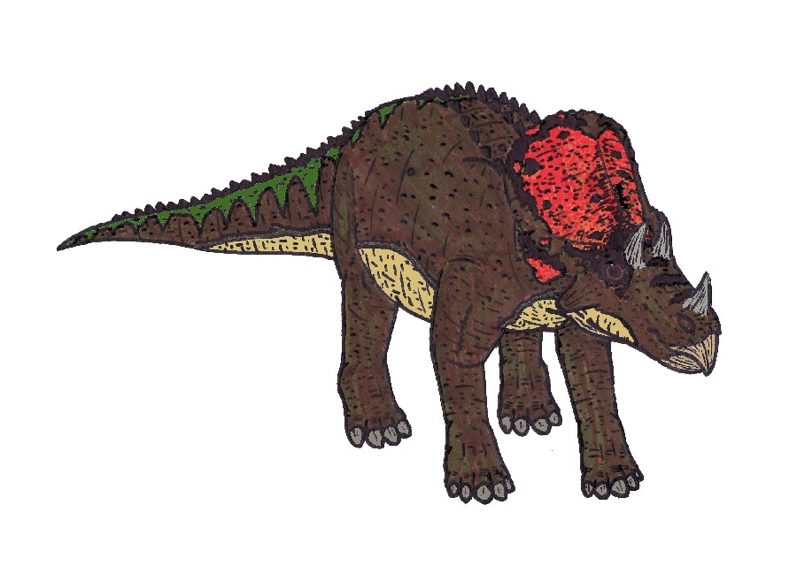 Avaceratops