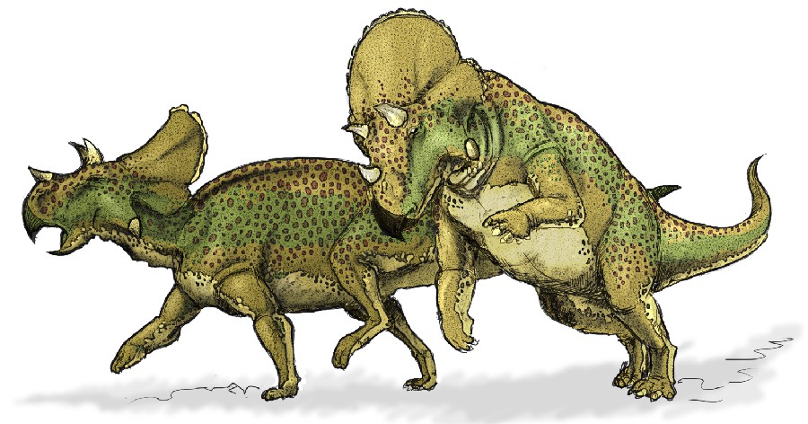 Avaceratops_dinosaur_571d.jpg