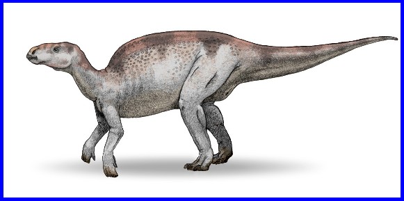 Bactrosaurus