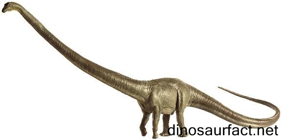 Barosaurus
