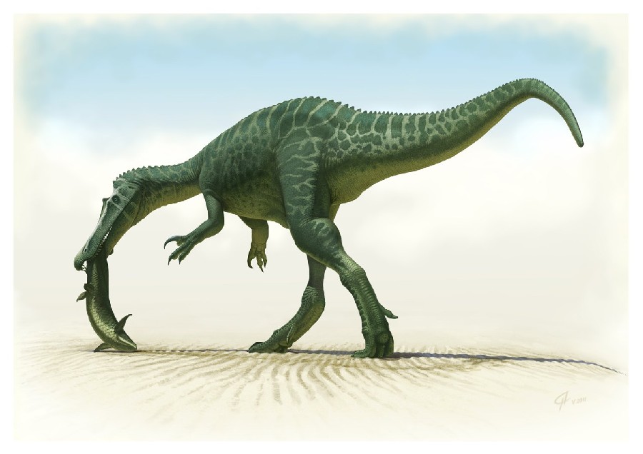 Baryonyx
(Барионикс), Cretaceous
(Меловой период)