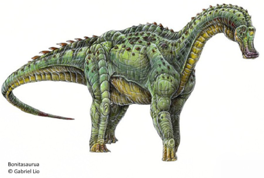 Bonitasaura, Cretaceous
(Меловой период)