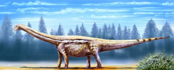 Borealosaurus