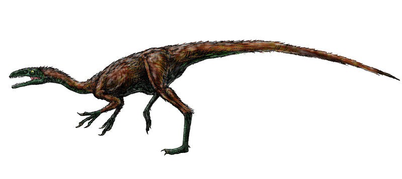 Calamosaurus