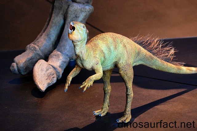 Camposaurus, Triassic
(Триасовый период)