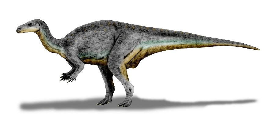 Camptosaurus