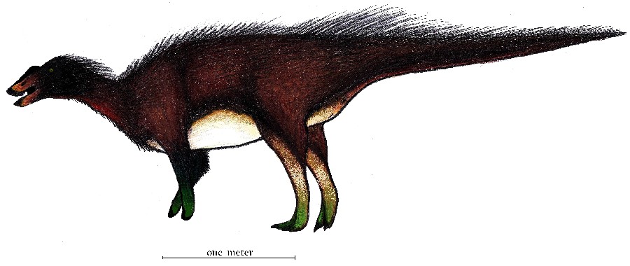 Euhelopus Pictures & Facts - The Dinosaur Database