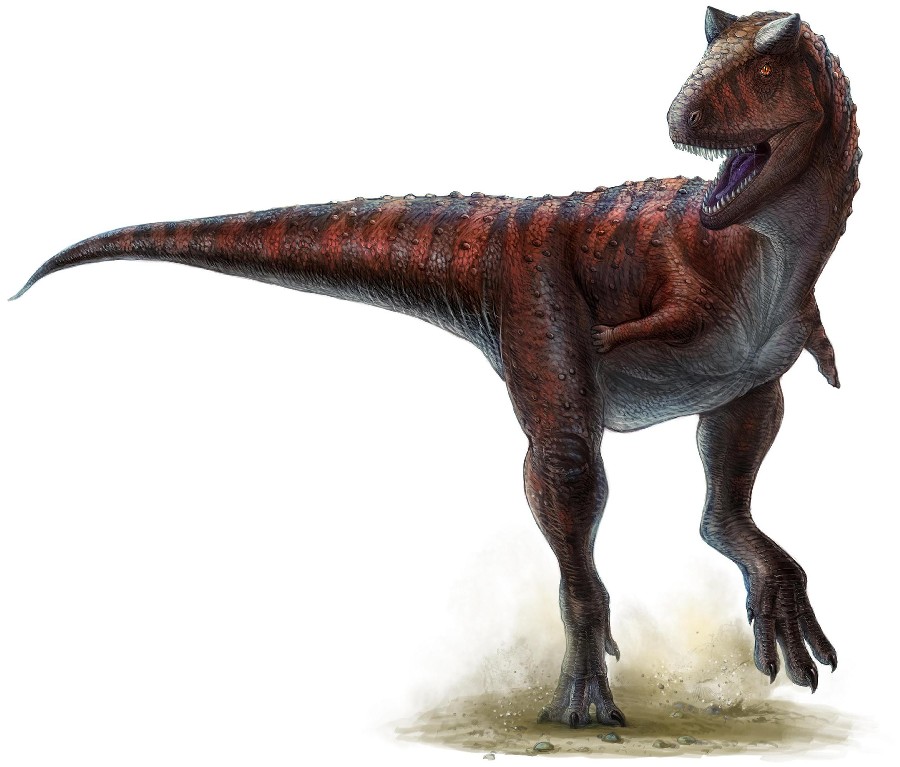 Carnotaurus Pictures & Facts - The Dinosaur Database