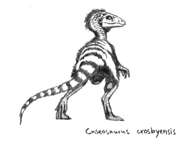 Caseosaurus